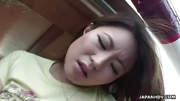 Mèo dit gai xinh khong che con